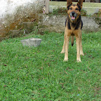 Tit&aacute;n