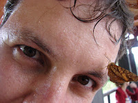 Un beso de una mariposa