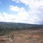 Caminando por el desierto