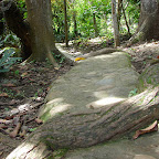 Caminos retorcidos Caminos retorcidos
