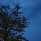 Amenaza lluvia