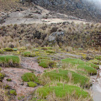Colchones de agua Colchones de agua