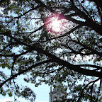 Plaza de Guacar&iacute;
