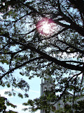 Plaza de Guacar&iacute;