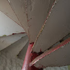 Las escaleras del faro Las escaleras del faro