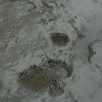 Piedra corroida por la fauna marina