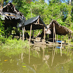 Los astilleros del manglar Los astilleros del manglar
