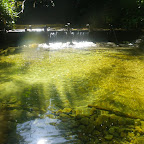 La piscina natural La piscina natural