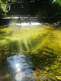 La piscina natural
