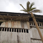 Un avispero Un avispero