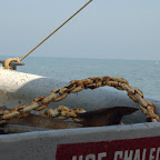 La corroción por cuenta del mar La corroción por cuenta del mar