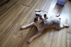 DSC00720.JPG