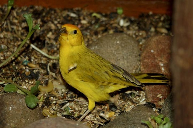 [2009_0703_CMZoo-31[2].jpg]