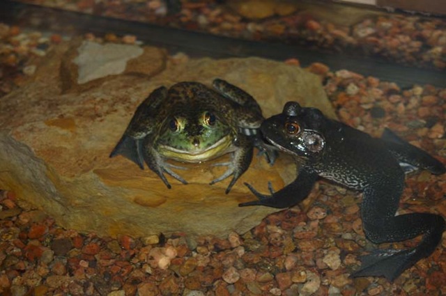 [2009_0703_CMZoo-96[2].jpg]