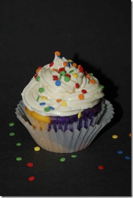 2009_0813_RainbowCupcakes-49