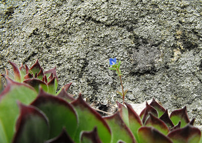 Macin32 Munții Măcin