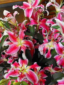 buchet de crini