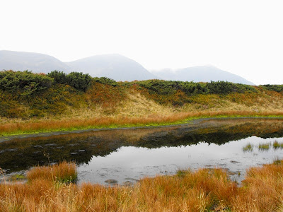 Fagaras - Sfarsit de Septembrie. De la Barcaciu prin Varful Scara spre malul Lacului Avrig