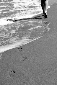 Marea. Urma pasilor pierduti...