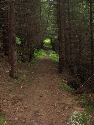 Marathon 7500 Bucegi.  Valea Gaura