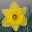 7-22-2010.jpg