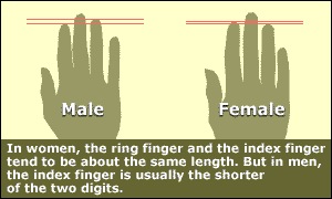 [finger1[4].jpg]