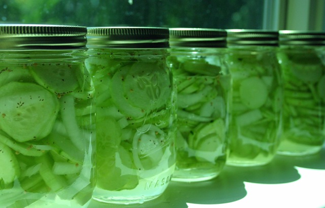[pickles[2].jpg]