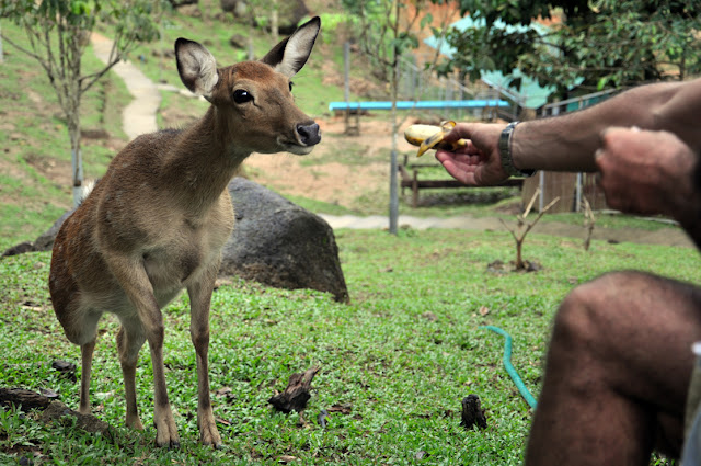 Случайности неслучайны