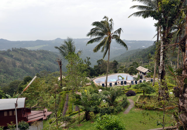 Случайности неслучайны