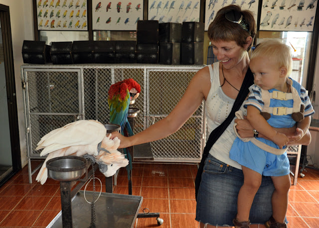 Случайности неслучайны