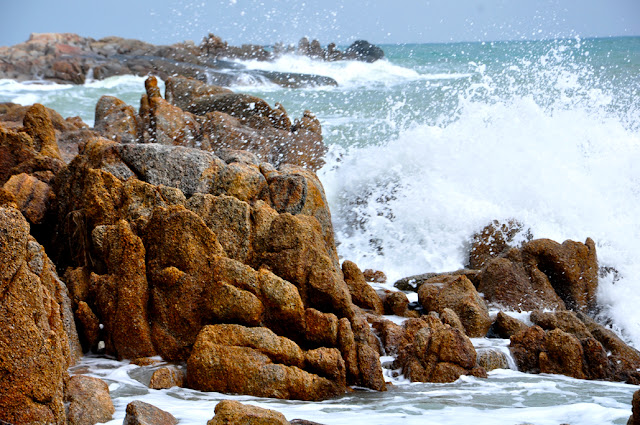 Случайности неслучайны