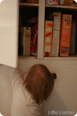 IMG_5863 IMG_5863