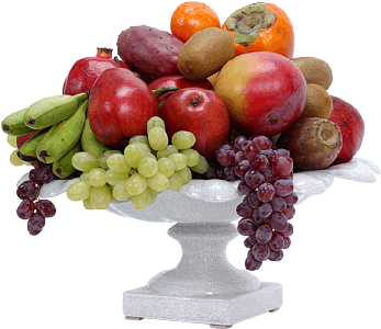 [fruit3.gif]