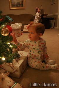[IMG_5362[2].jpg]