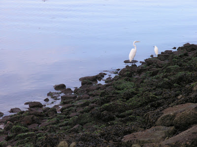 P2070910.JPG
