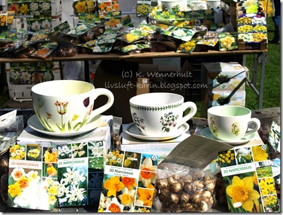 narcisser vtnm
