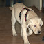 DSC_2154.jpg