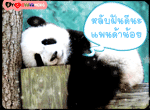 หลับฝันดี
