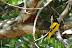 DSC01418.JPG