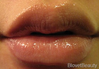 IMG_6141 IMG_6141