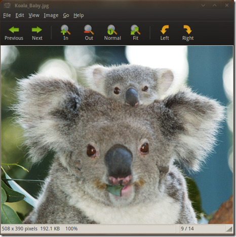 best image viewer linux