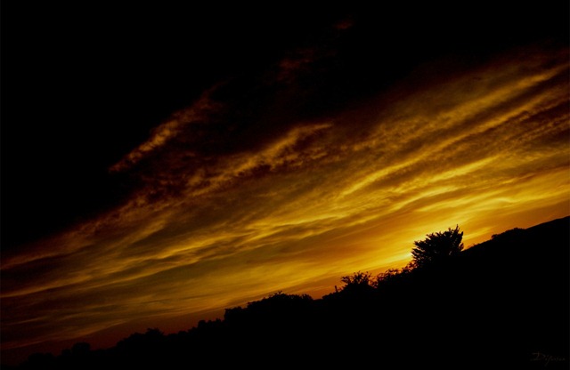 [sunsetzl[4].jpg]