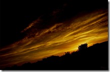 sunsetzl