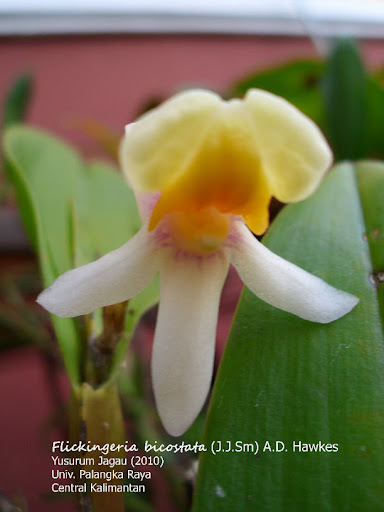 photo 01
