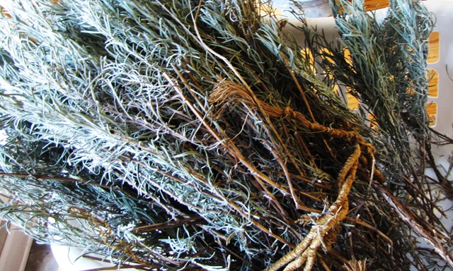 [lavender[6].jpg]
