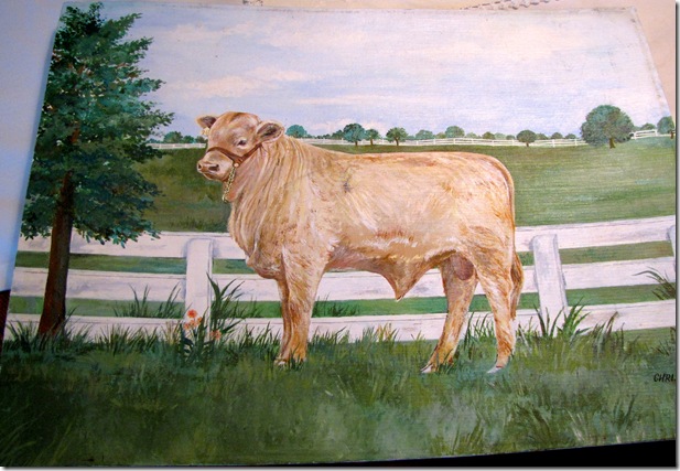 cow 7