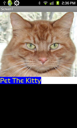 Pet the Kitty