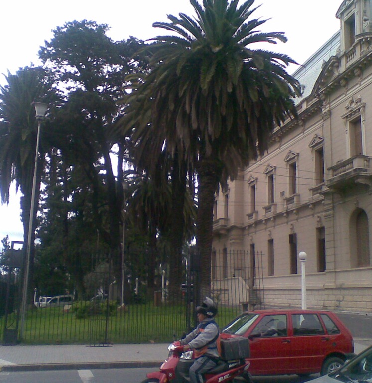 [Rejas Casa de Gobierno - 15_03_11 (2)[6].jpg]