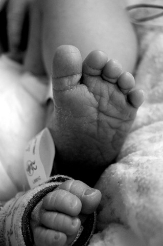 [nicu7.jpg]
