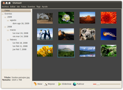 screenshot2 Shotwell reemplaza a F-Spot en Ubuntu 10.10